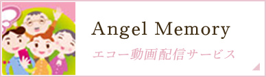 Angel Memory エコー動画配信サービス