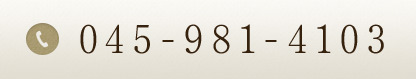 045-981-4103